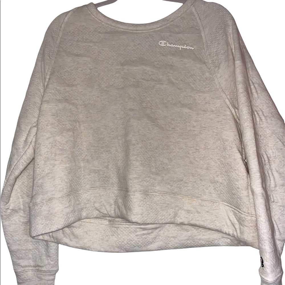 Cropped champion crew neck